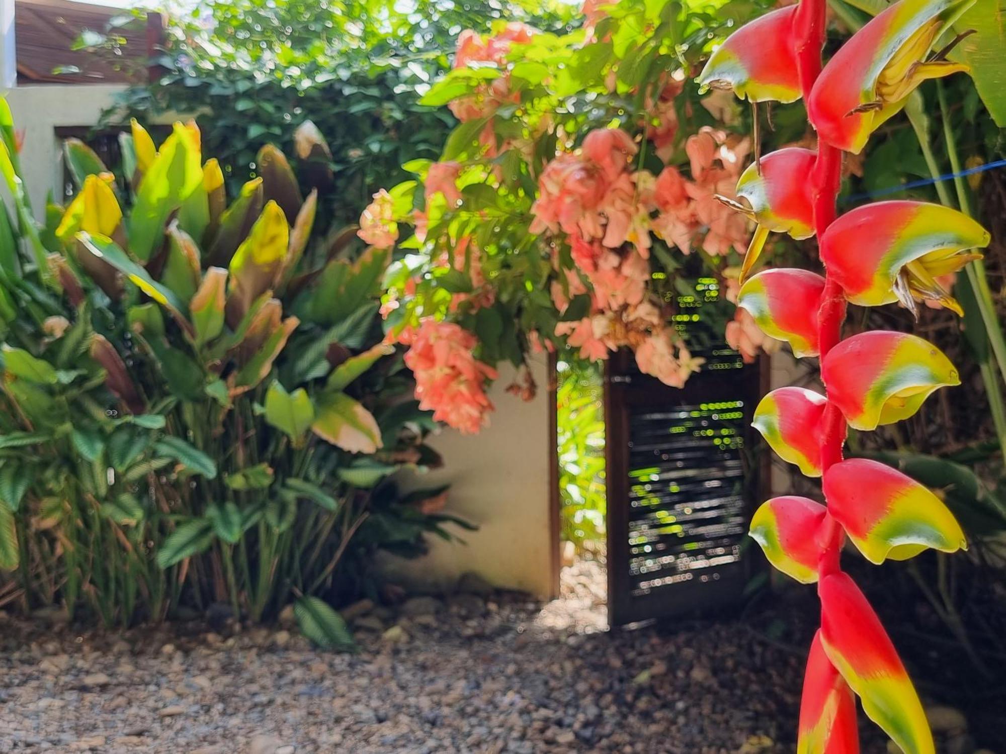 帕洛米诺Casas La Floristeria别墅 外观 照片